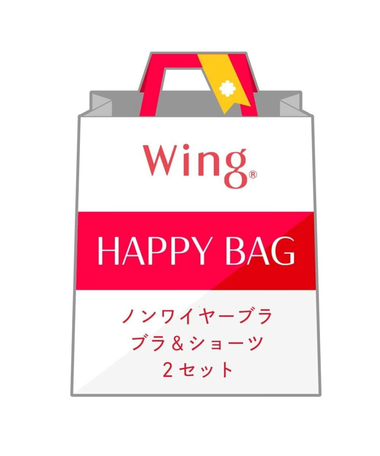 【福袋】 ウイング ノンワイヤーブラ&ショーツ 2セット